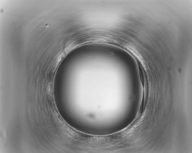 X0000086991481200704231832