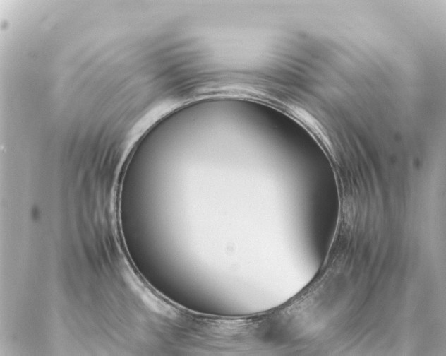 X0000086991482200704231832