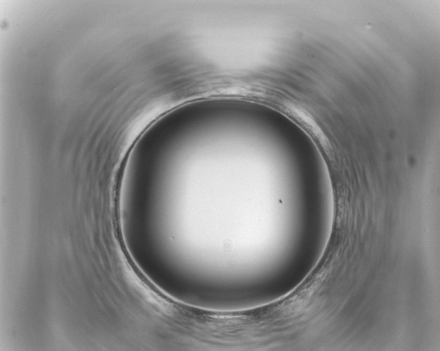 X0000086991483200704231832