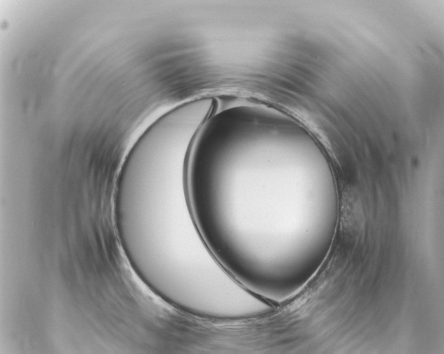 X0000086991484200704231832