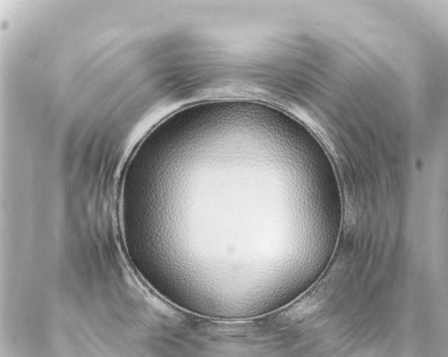 X0000086991486200704231832