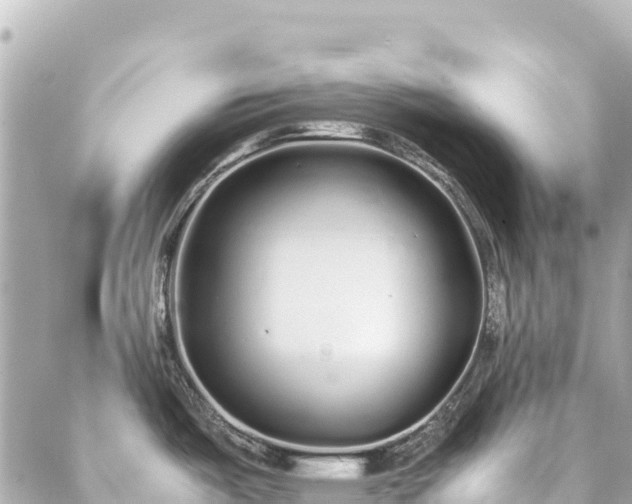 X0000086991487200704231832