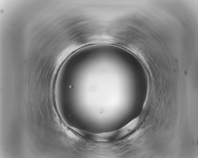 X0000086991488200704231832