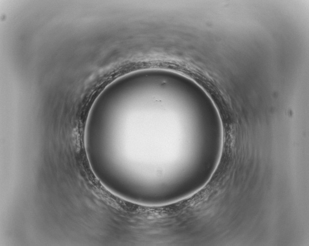 X0000086991493200704231832