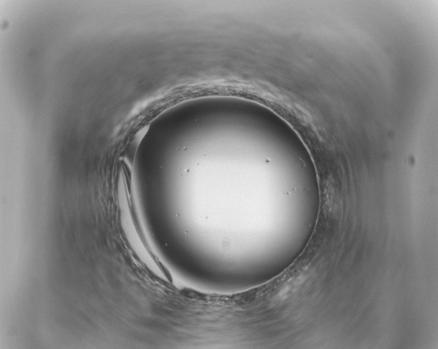 X0000086991494200704231832