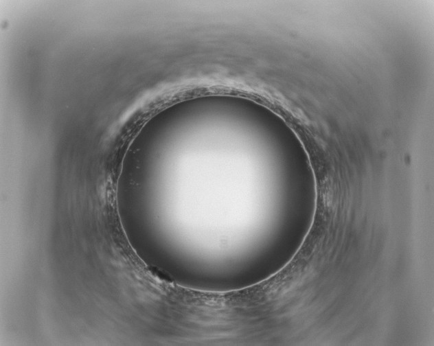 X0000086991495200704231832