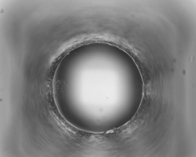 X0000086991496200704231832