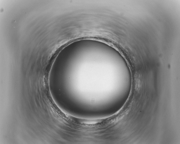 X0000086991497200704231832