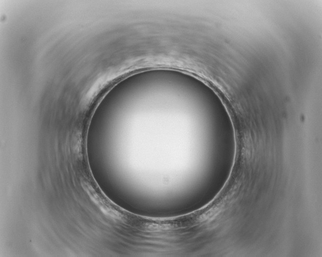 X0000086991499200704231832