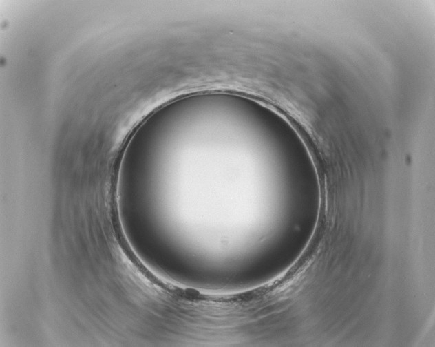 X0000086991500200704231832