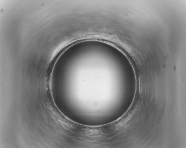 X0000086991501200704231832