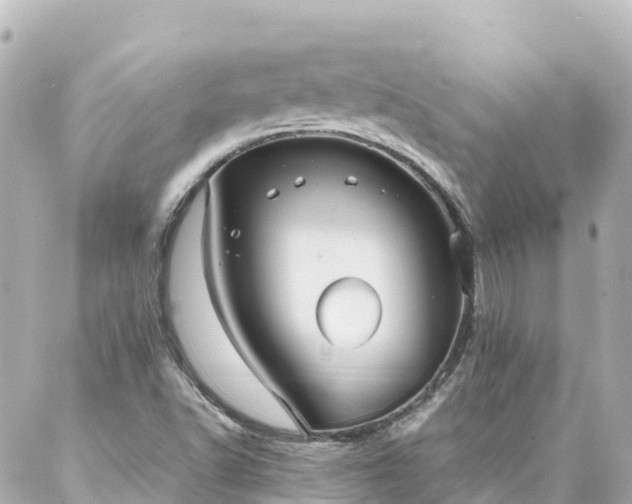 X0000086991502200704231832