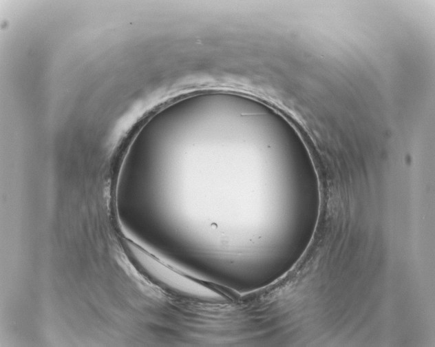 X0000086991503200704231832