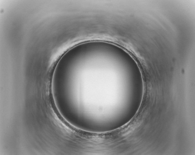 X0000086991504200704231832