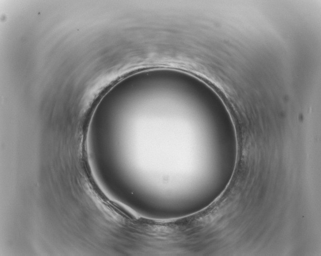 X0000086991507200704231832