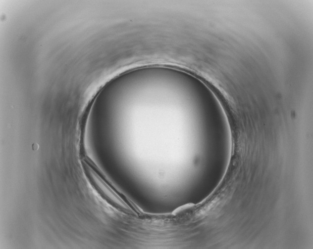 X0000086991508200704231832