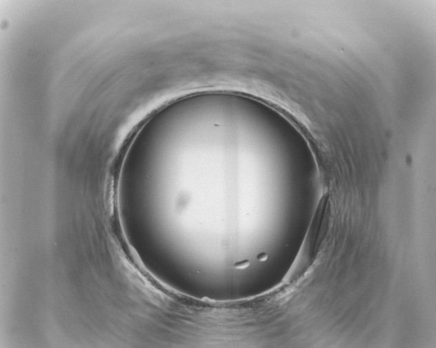 X0000086991510200704231832