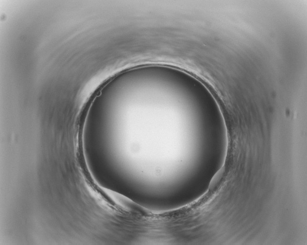 X0000086991511200704231832