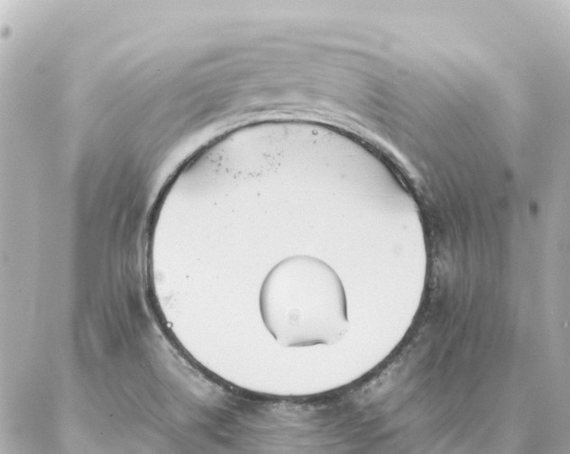 X0000086991514200704231832