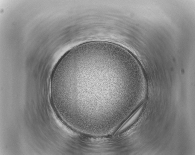 X0000086991515200704231832