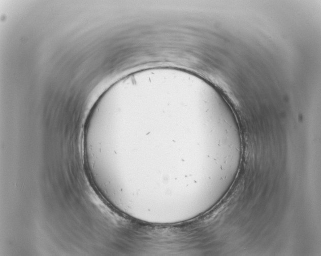 X0000086991516200704231832