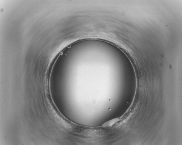 X0000086991517200704231832