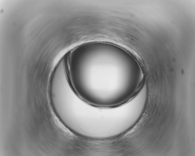 X0000086991518200704231832