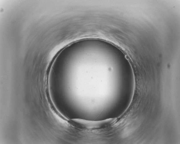 X0000086991519200704231832