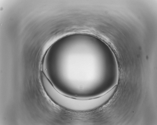 X0000086991520200704231832