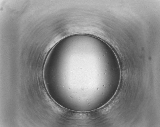 X0000086991521200704231832