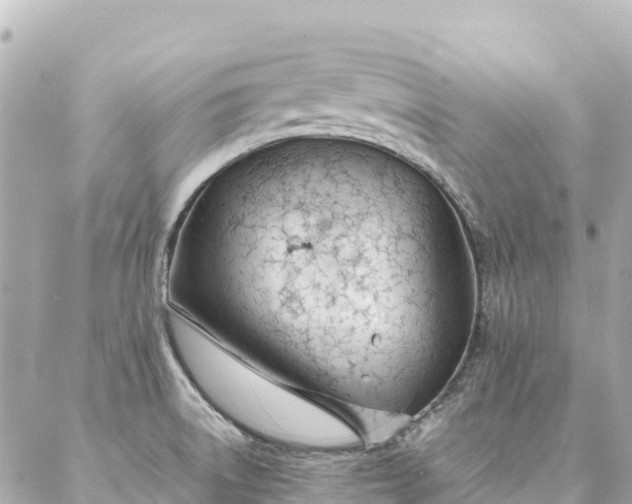 X0000086991522200704231832