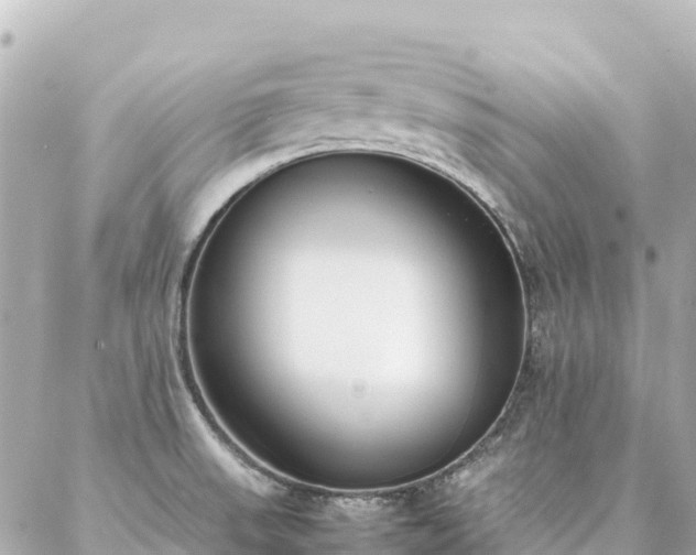 X0000086991523200704231832