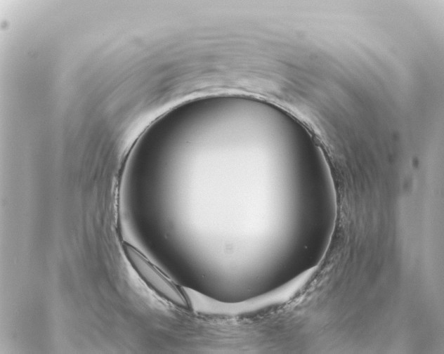 X0000086991524200704231832