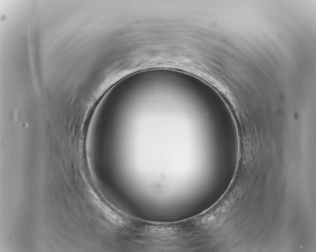 X0000086991525200704231832