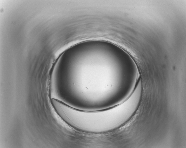 X0000086991526200704231832