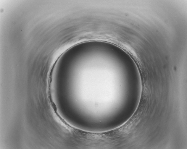 X0000086991528200704231832