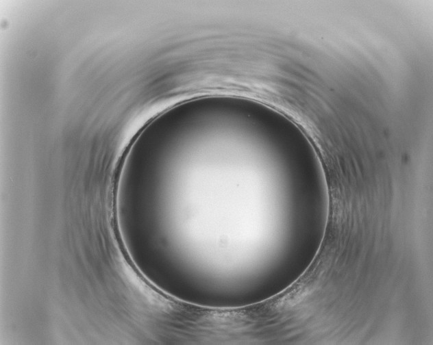 X0000086991531200704231832