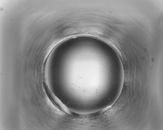 X0000086991532200704231832