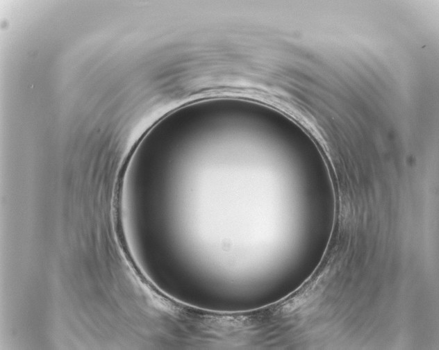 X0000086991533200704231832