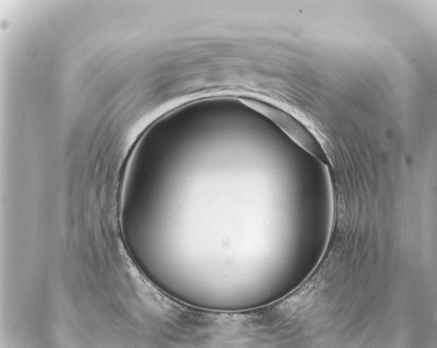 X0000086991534200704231832