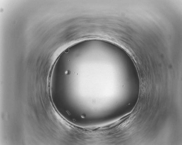 X0000086991535200704231832