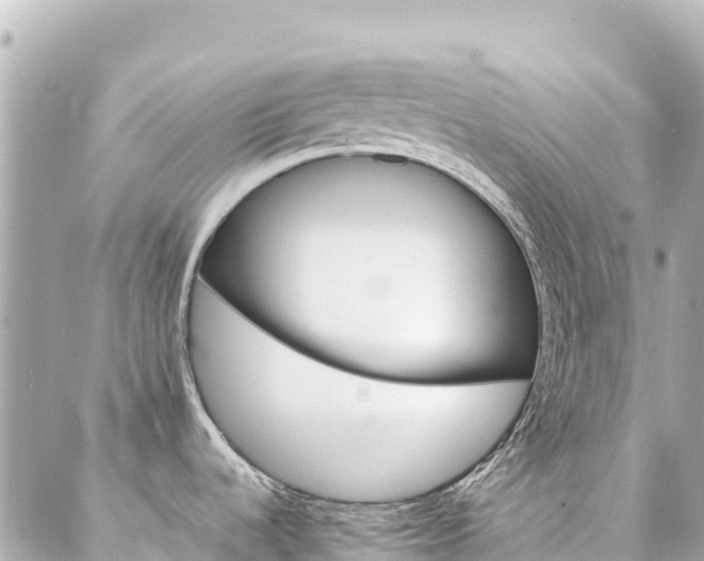 X0000086991536200704231832