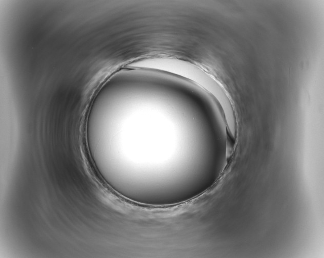 X0000086990001200704301347