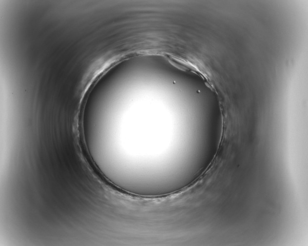 X0000086990002200704301347