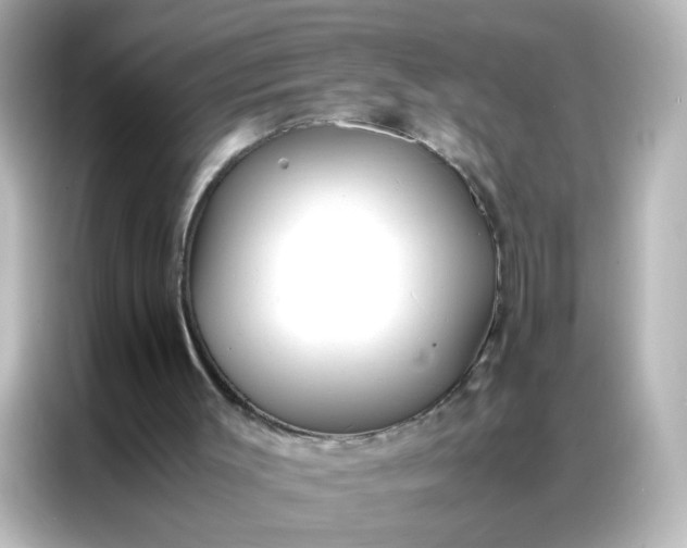 X0000086990003200704301347