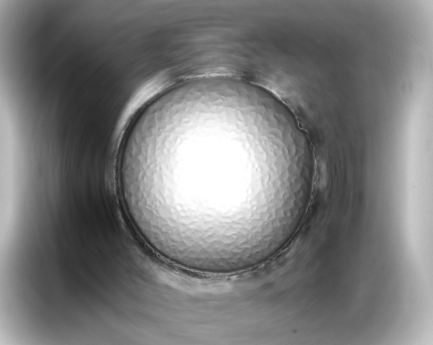 X0000086990004200704301347