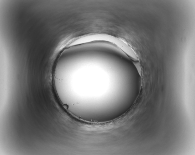 X0000086990005200704301347