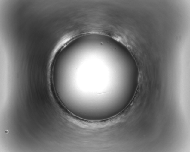 X0000086990006200704301347