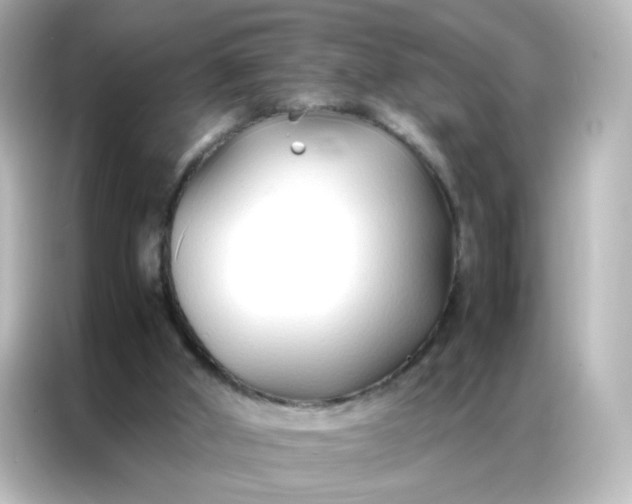 X0000086990010200704301347