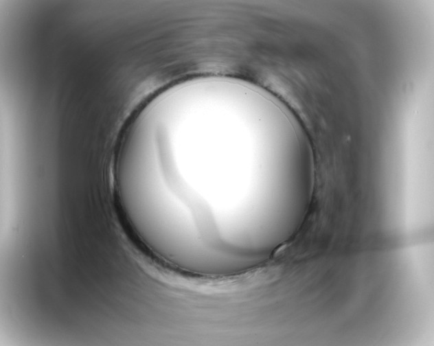 X0000086990011200704301347